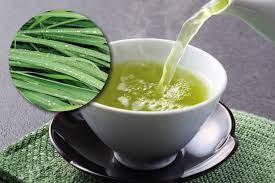 cidreira natural loja de produtos naturais Cianorte PR