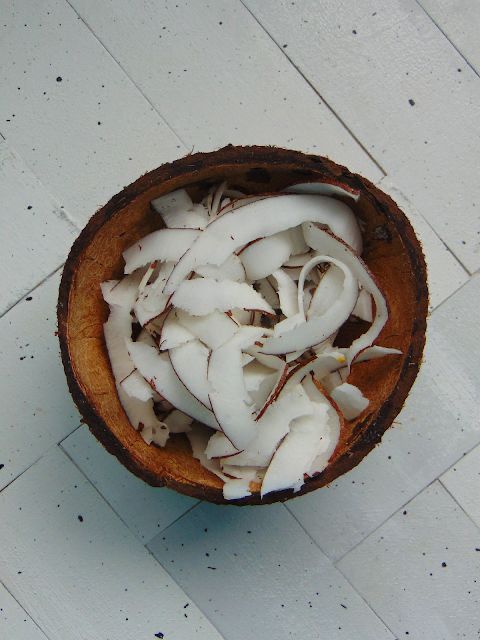 coco em lascas natural loja de produtos naturais Cianorte PR
