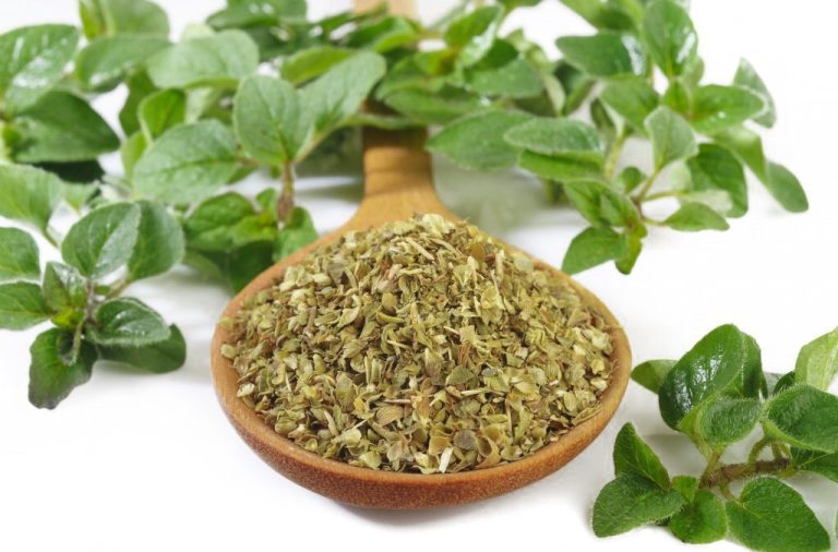 oregano natural loja de produtos naturais Cianorte PR