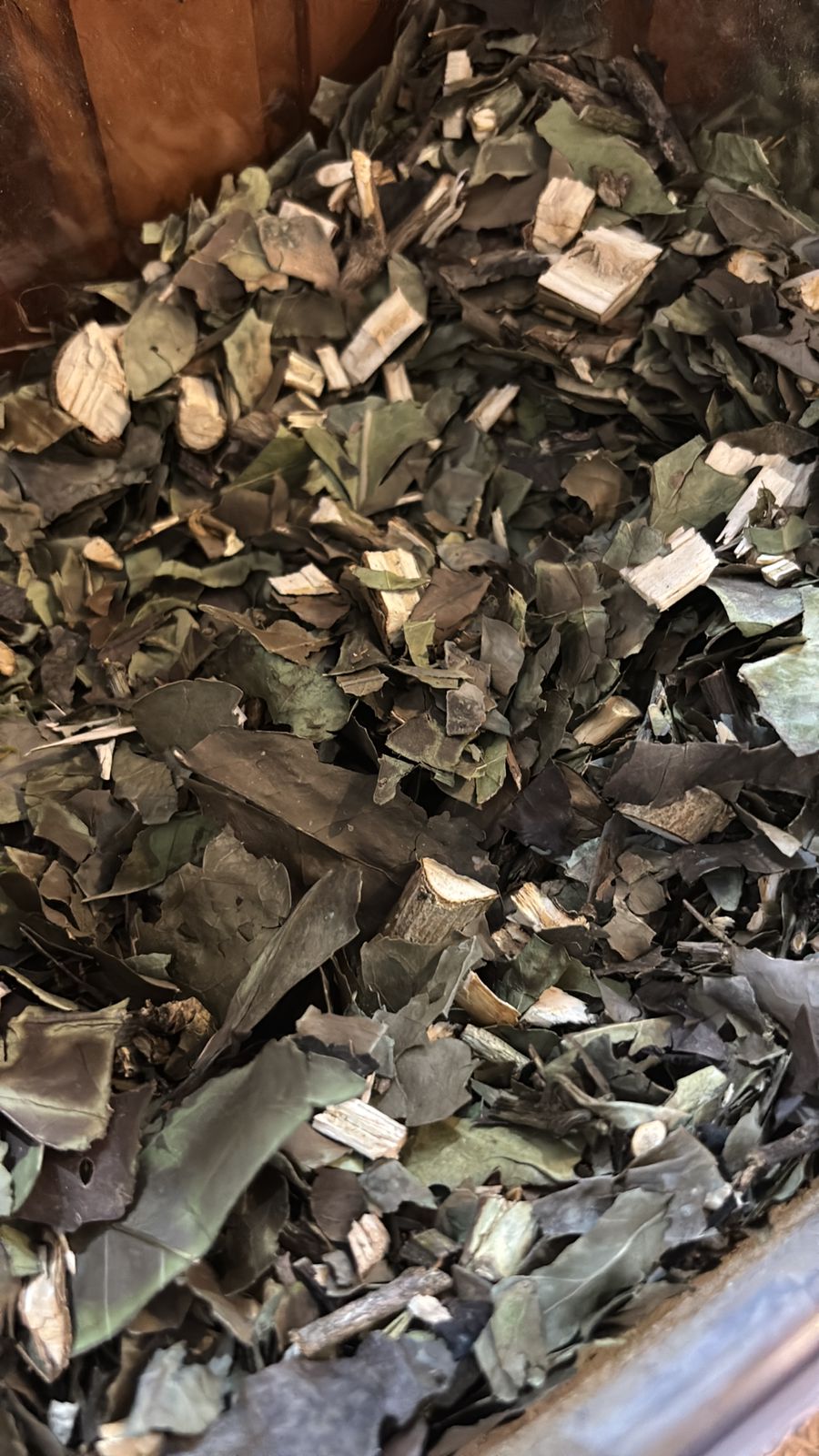 cha verde loja de produtos naturais Cianorte PR