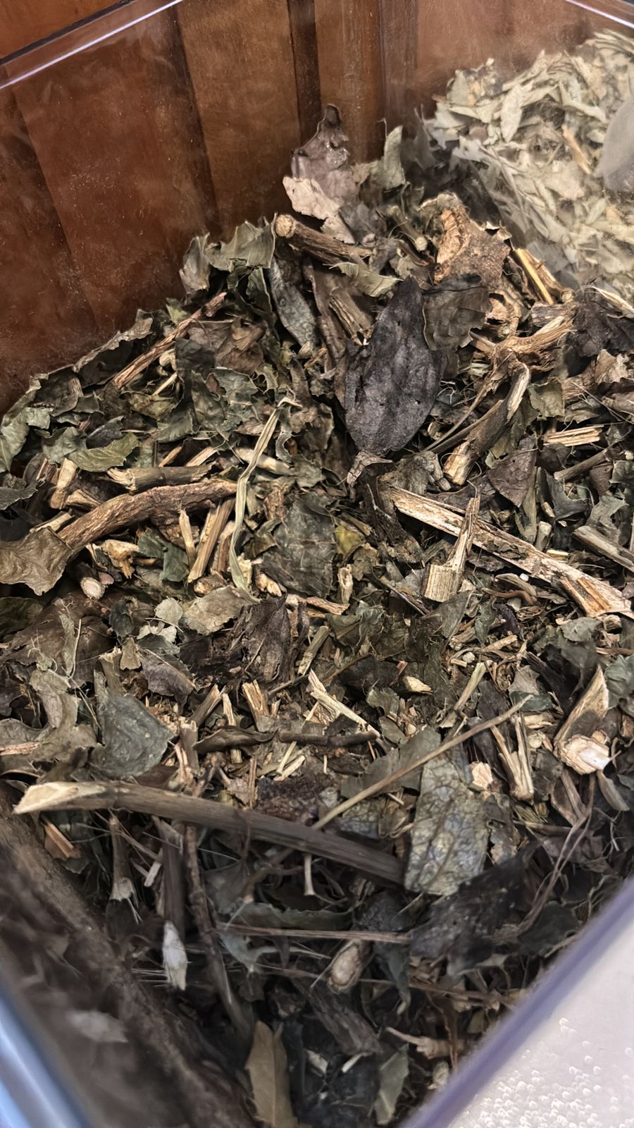 guaco erva medicinal loja de produtos naturais Cianorte PR