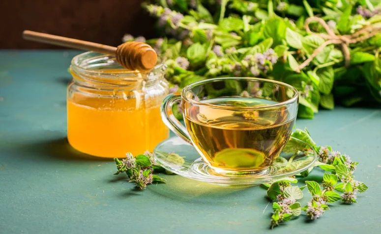 melissa erva medicinal loja de produtos naturais Cianorte PR