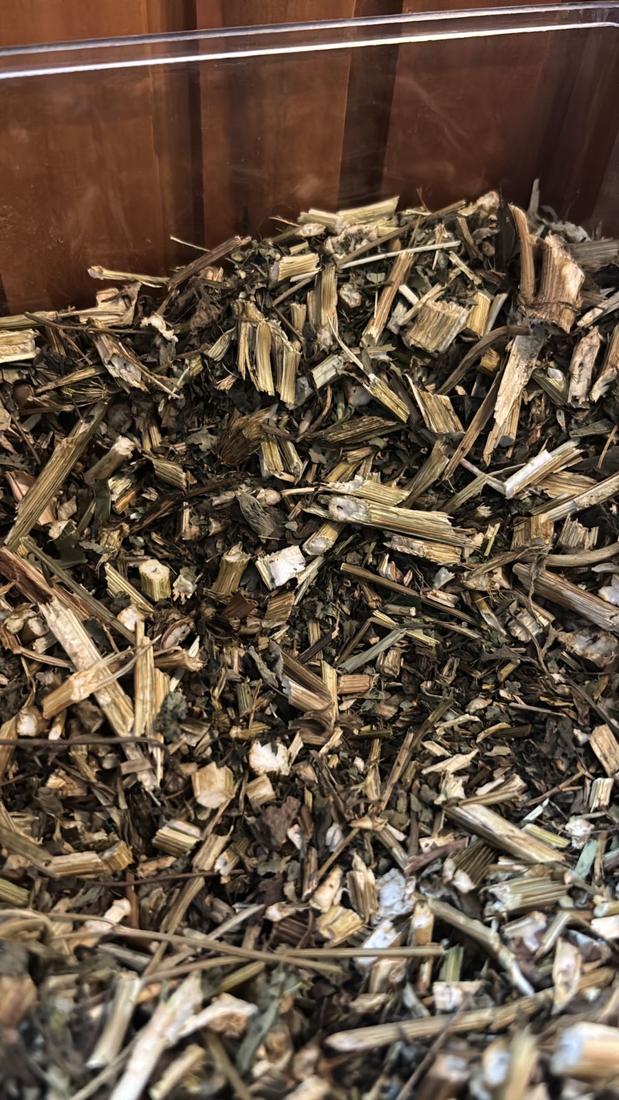 picao preto erva medicinal loja de produtos naturais Cianorte PR
