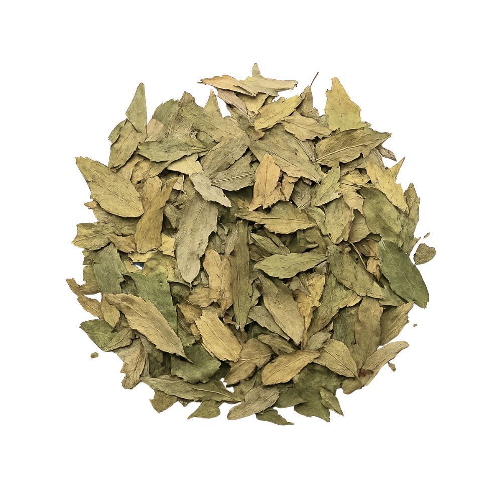 sene erva medicinal loja de produtos naturais Cianorte PR